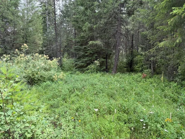 $60,000 | Lot 2 Springdale Hunters Road, Springdale, WA 99173