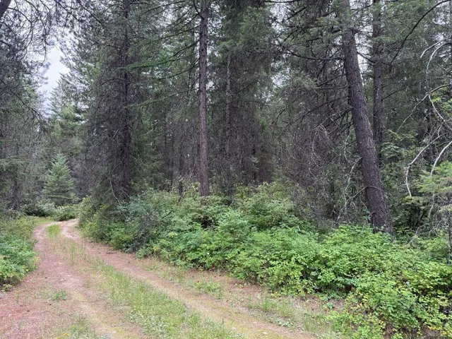 $60,000 | Lot 2 Springdale Hunters Road, Springdale, WA 99173