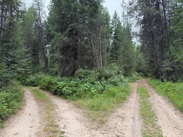 $60,000 | Lot 2 Springdale Hunters Road, Springdale, WA 99173