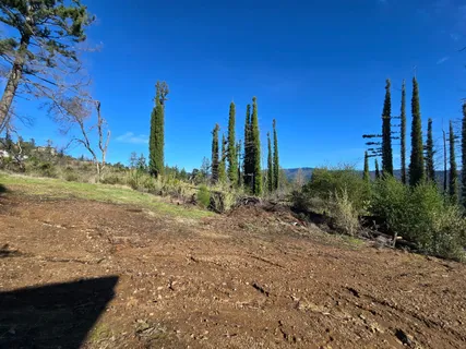 $850,000 | 360 Wildberry Drive, Boulder Creek, CA 95006