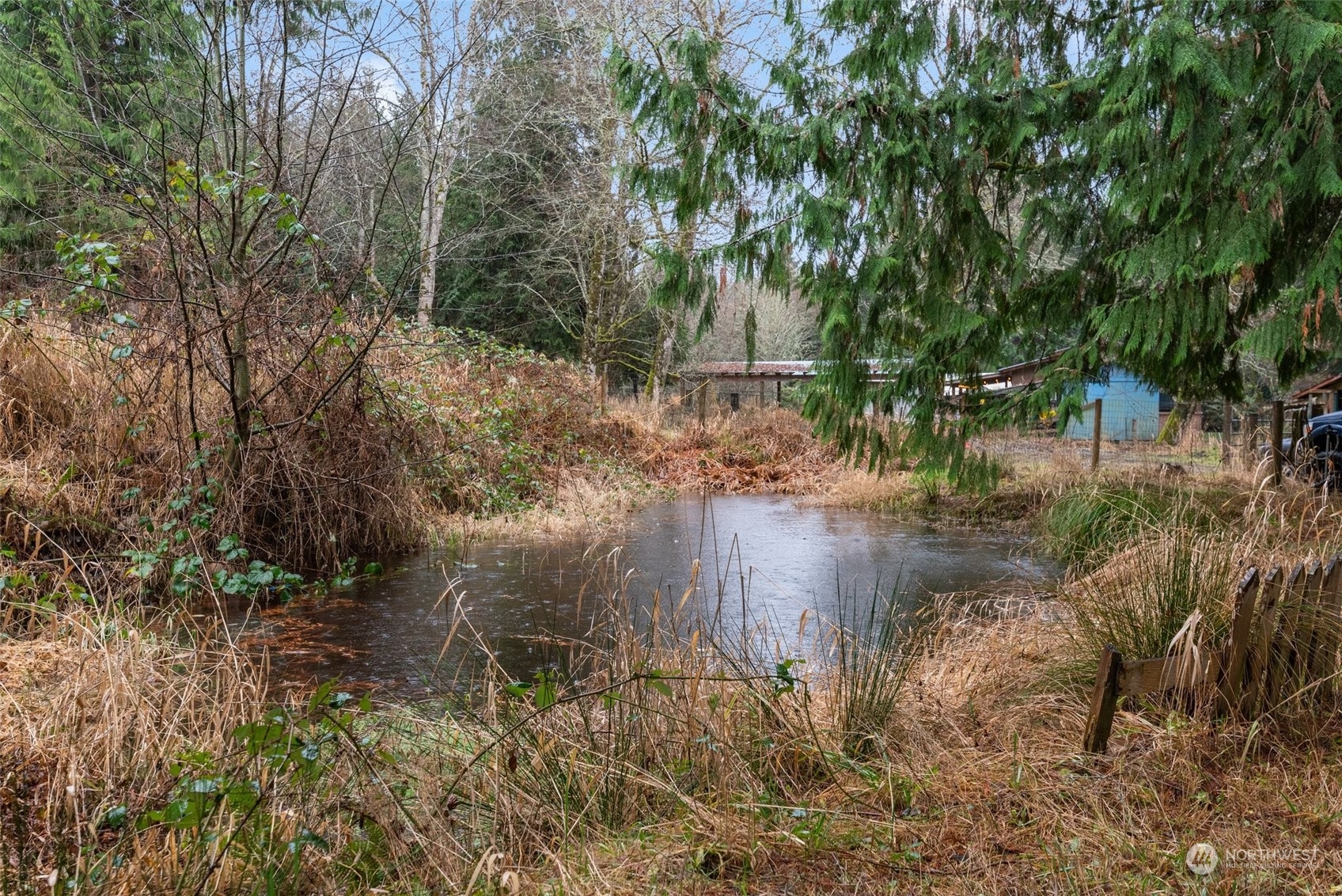 181 Delezenne Road Elma, WA 98541 - Photo 35 of 38 Gallery Image 35