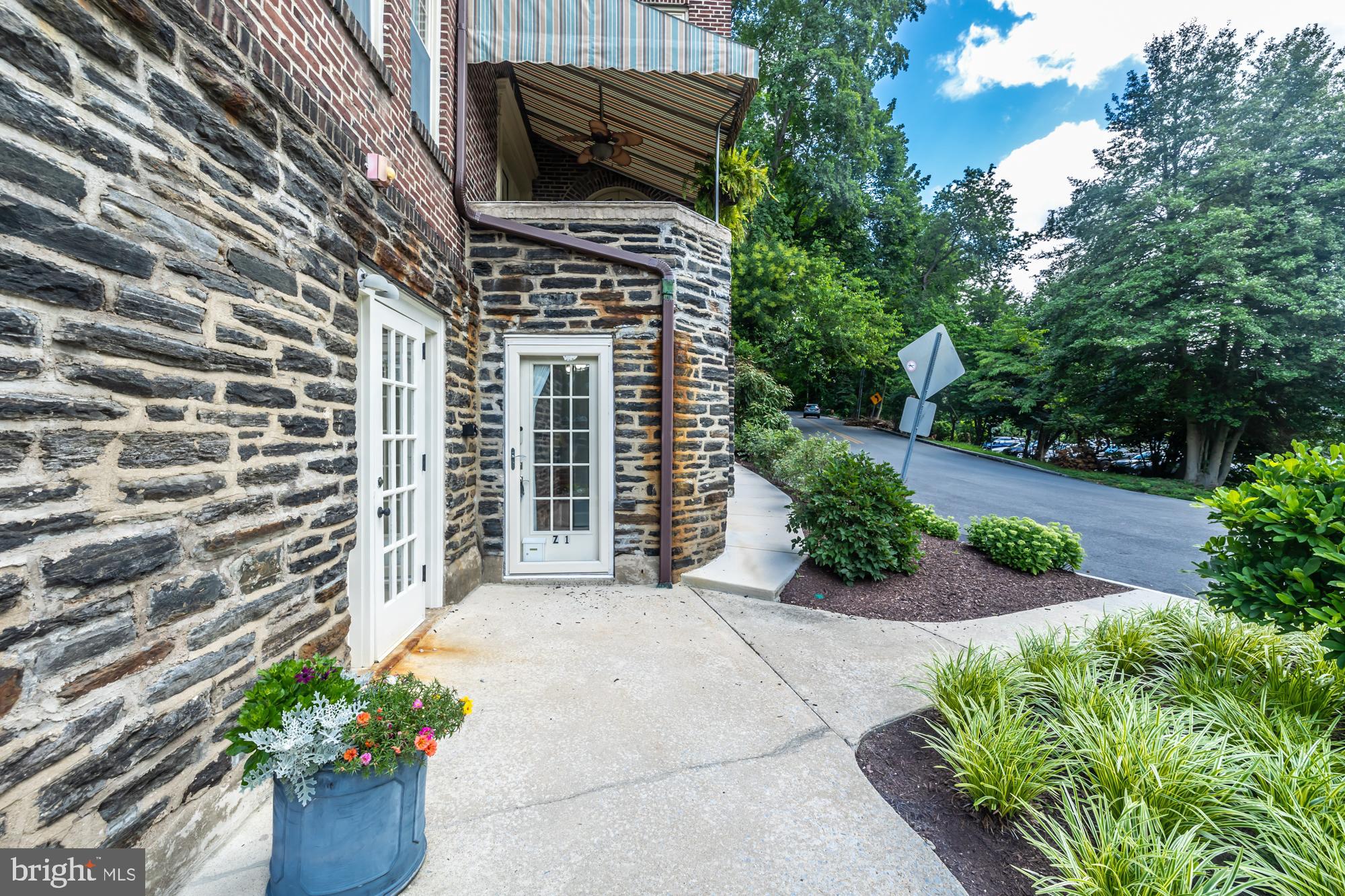a view of a garden with potted plants