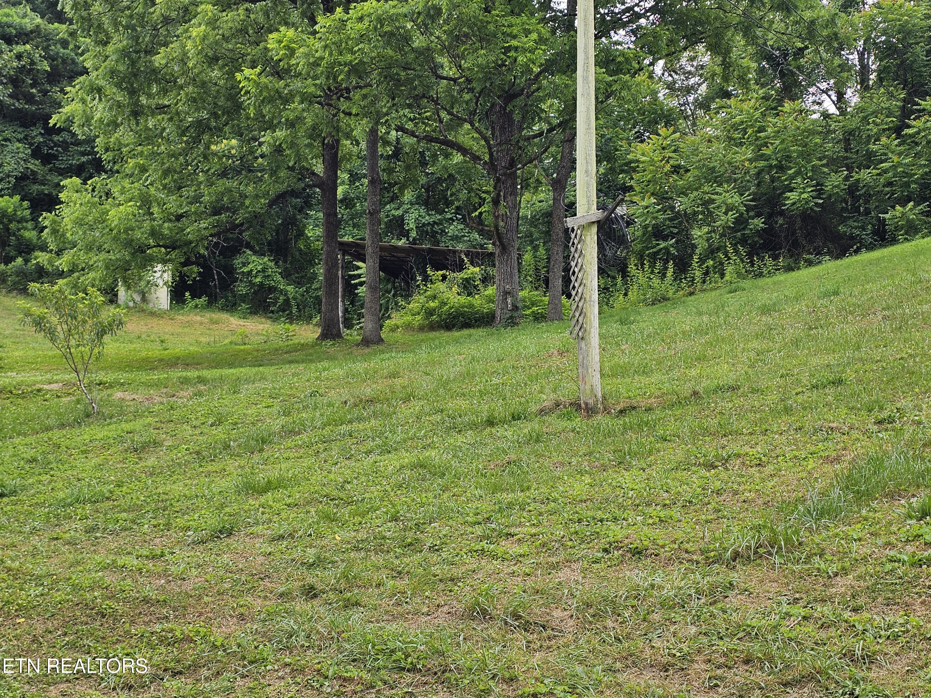 264 Old Long Hollow Road La Follette, TN 37766 - Photo 26 of 26 20260616_122651