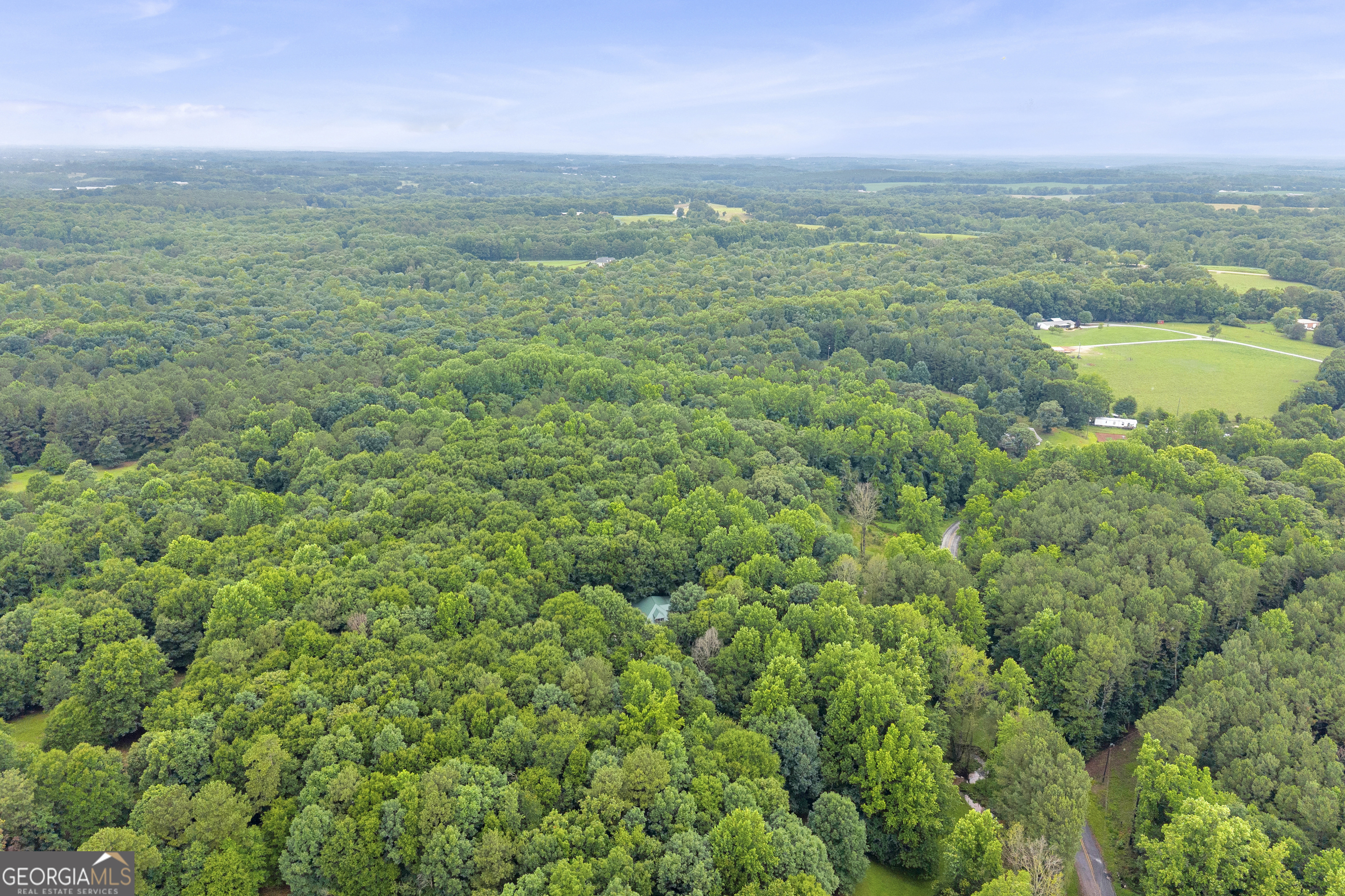 830 Carrie Craft Road Bowersville, GA 30516 - Photo 41 of 42