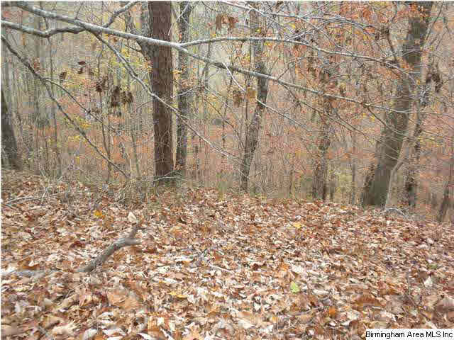 Bluff Ridge Road, Unit 16 Bessemer, AL 35022 - Photo 4 of 11