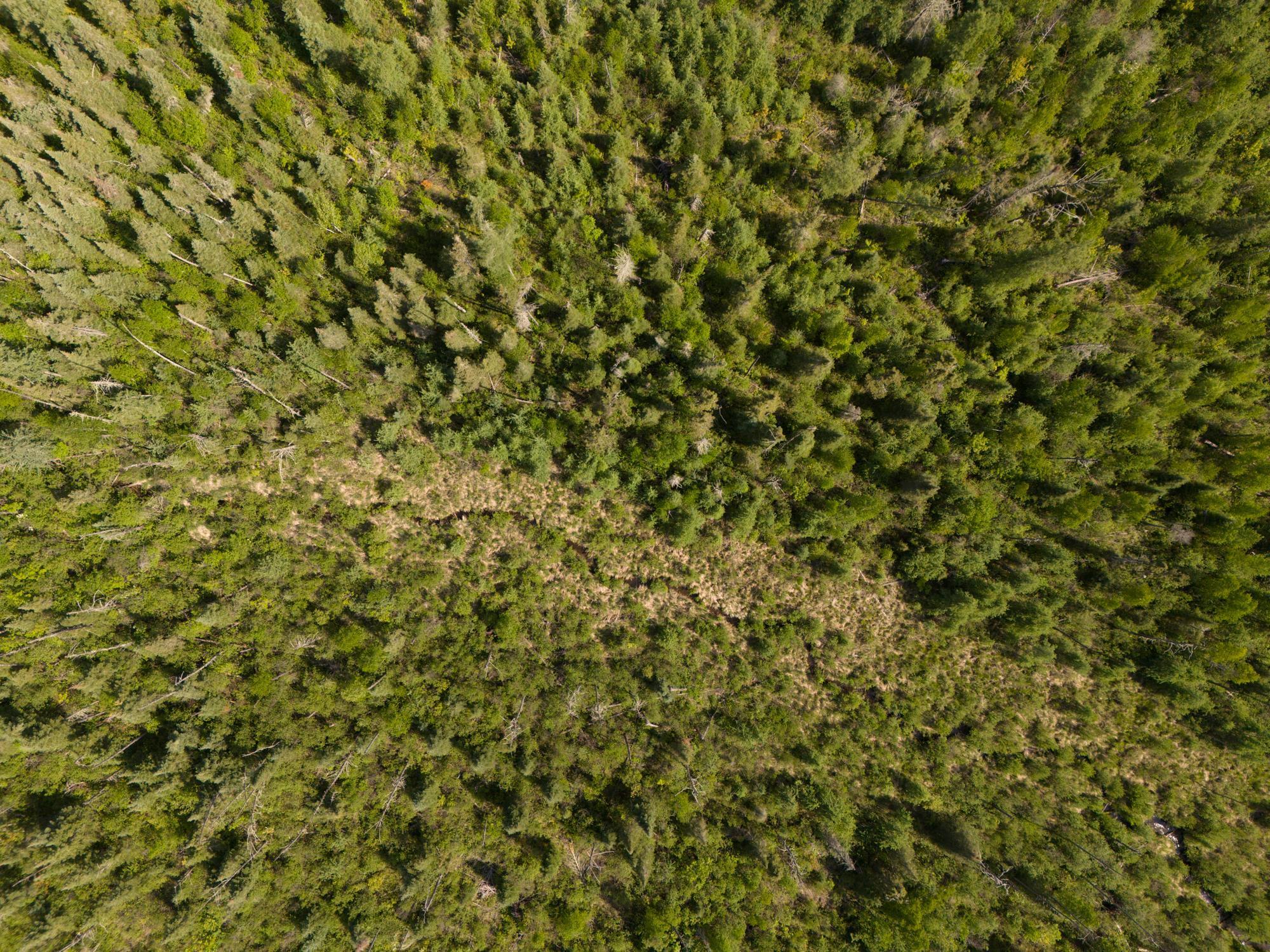 Tbd North Plantagenet Road Southeast Bemidji, MN 56601 - Photo 11 of 35