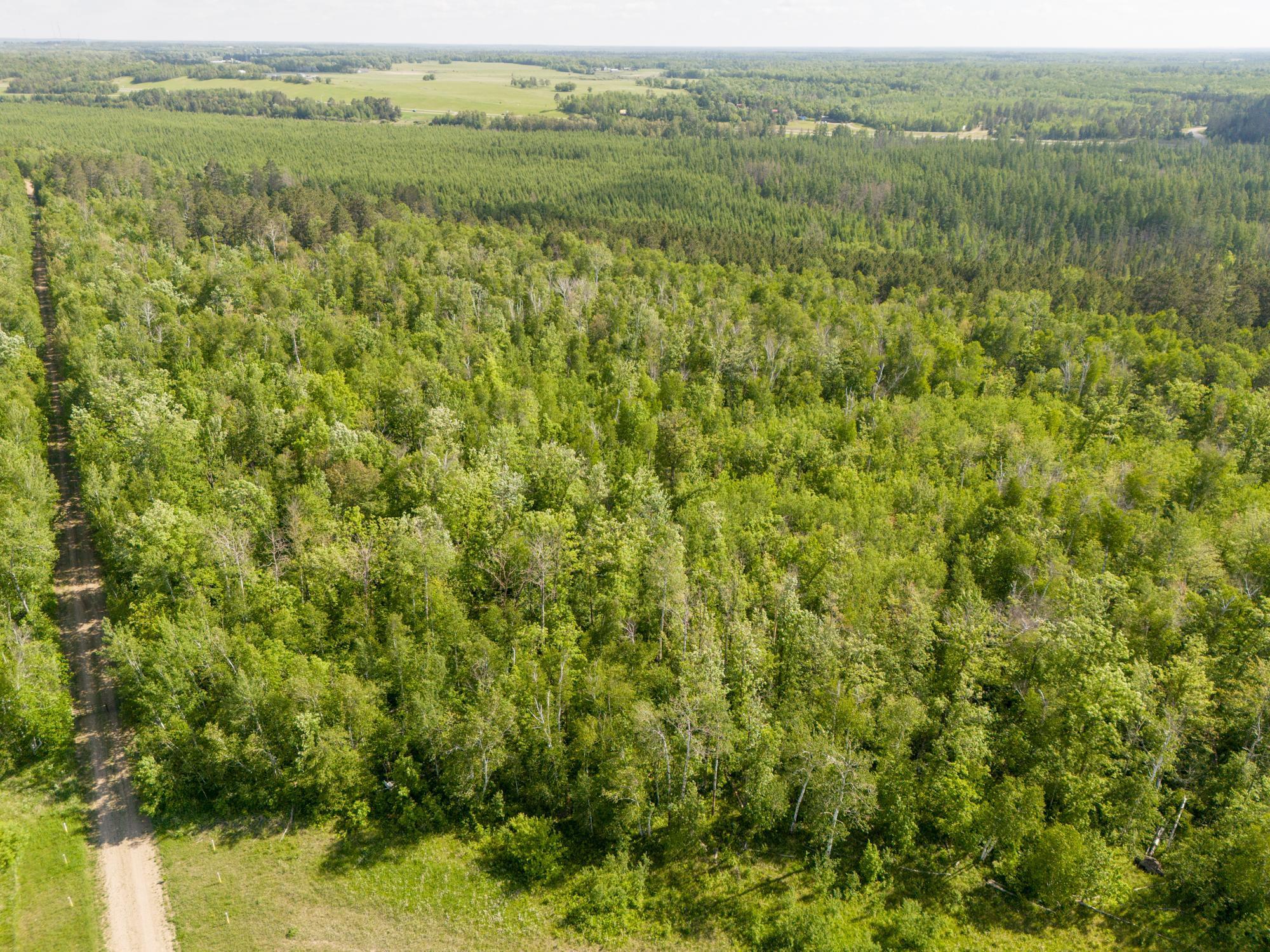 Tbd North Plantagenet Road Southeast Bemidji, MN 56601 - Photo 12 of 35