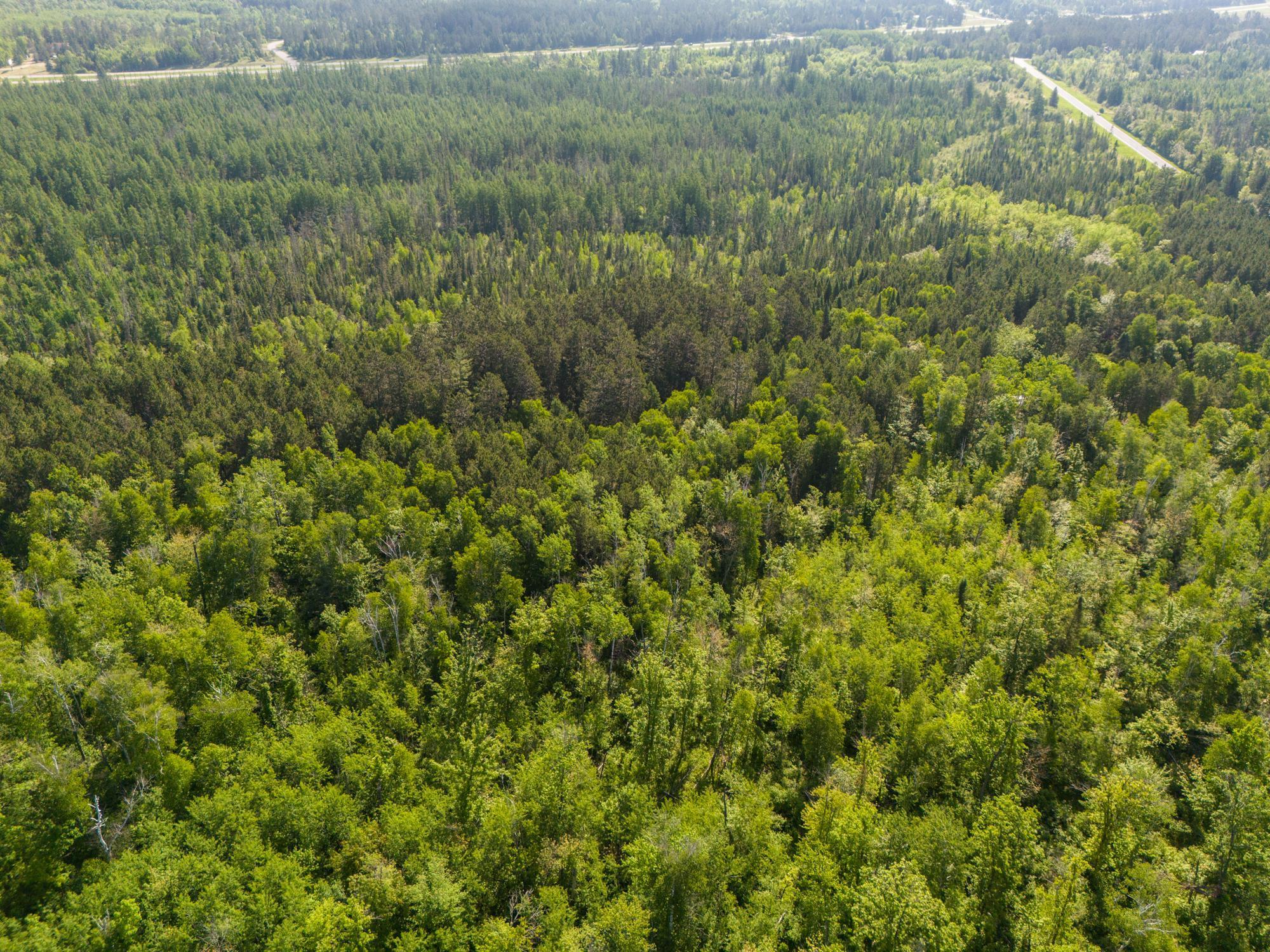 Tbd North Plantagenet Road Southeast Bemidji, MN 56601 - Photo 14 of 35