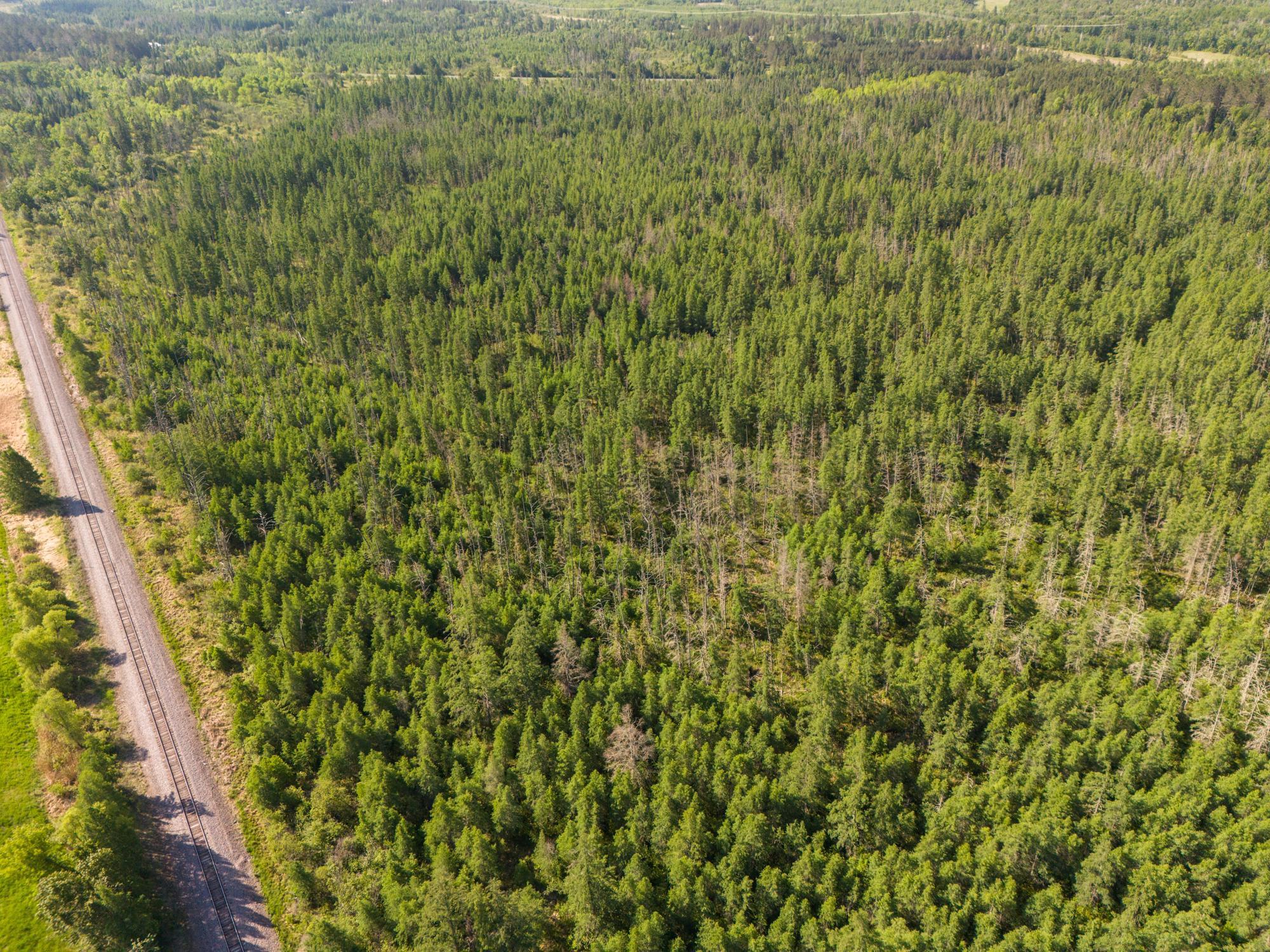 Tbd North Plantagenet Road Southeast Bemidji, MN 56601 - Photo 15 of 35