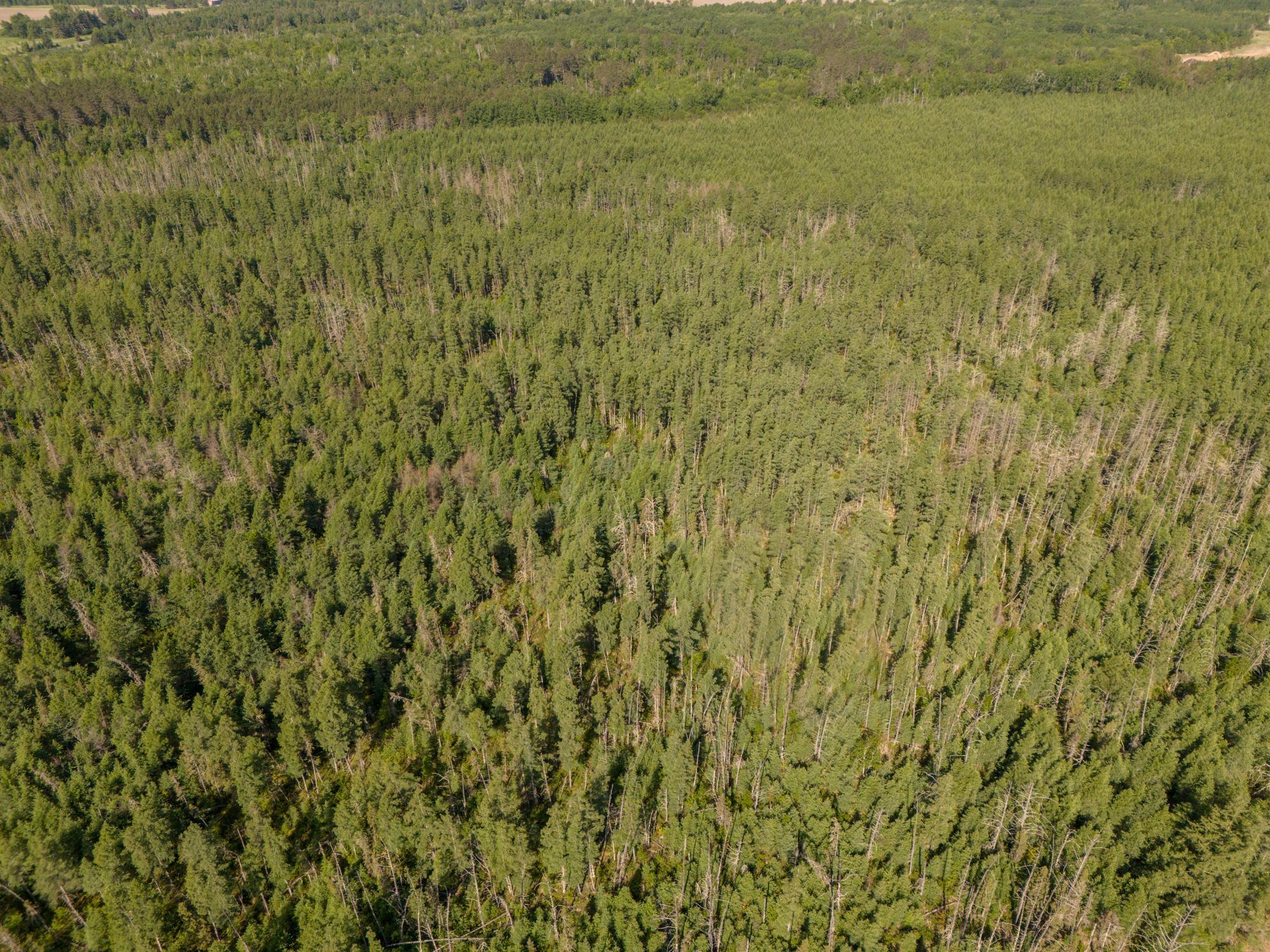 Tbd North Plantagenet Road Southeast Bemidji, MN 56601 - Photo 20 of 35