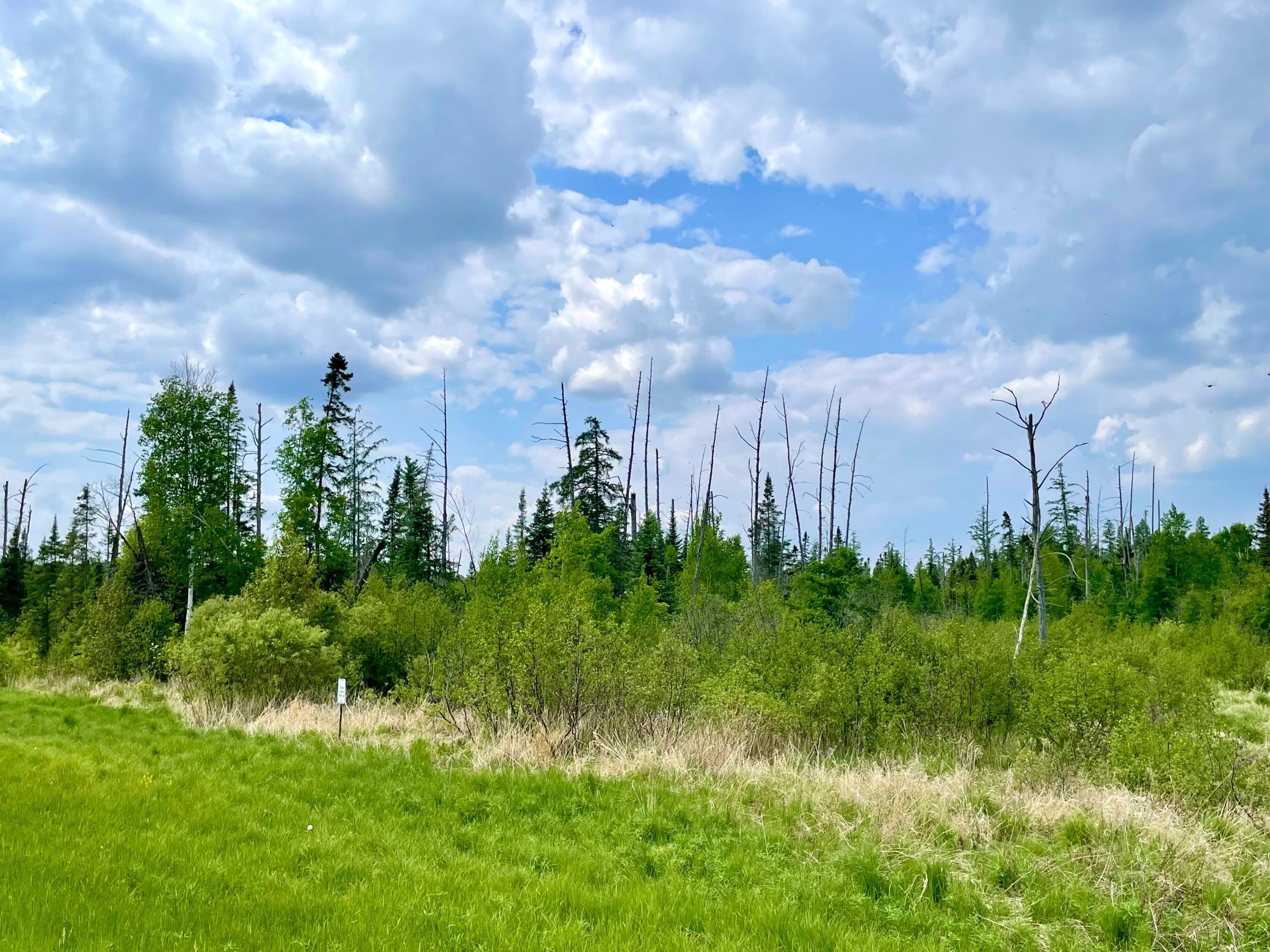 Tbd North Plantagenet Road Southeast Bemidji, MN 56601 - Photo 2 of 35