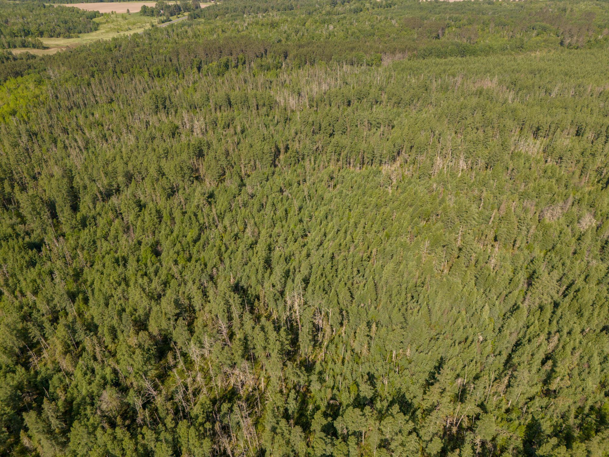 Tbd North Plantagenet Road Southeast Bemidji, MN 56601 - Photo 21 of 35