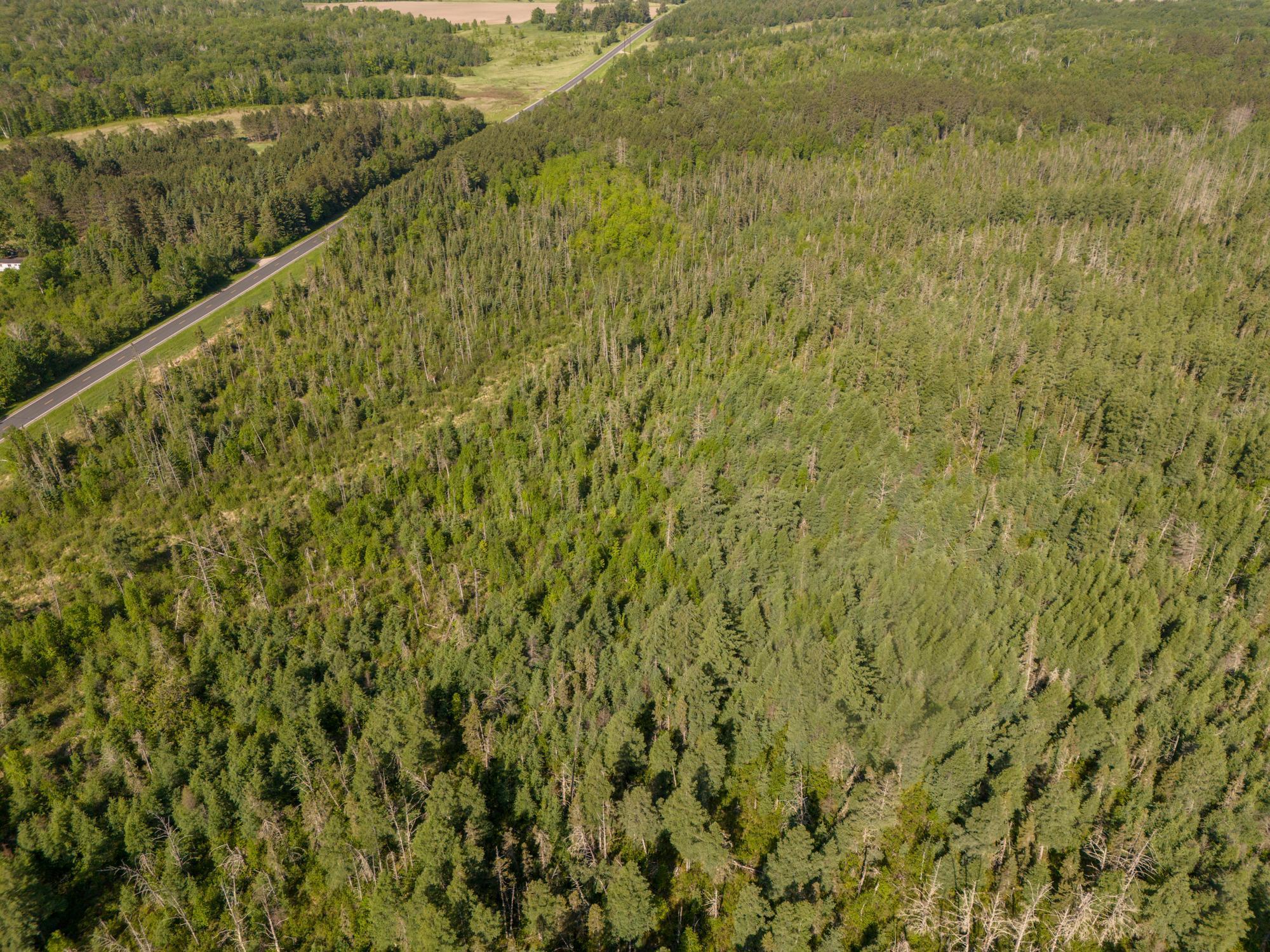 Tbd North Plantagenet Road Southeast Bemidji, MN 56601 - Photo 22 of 35