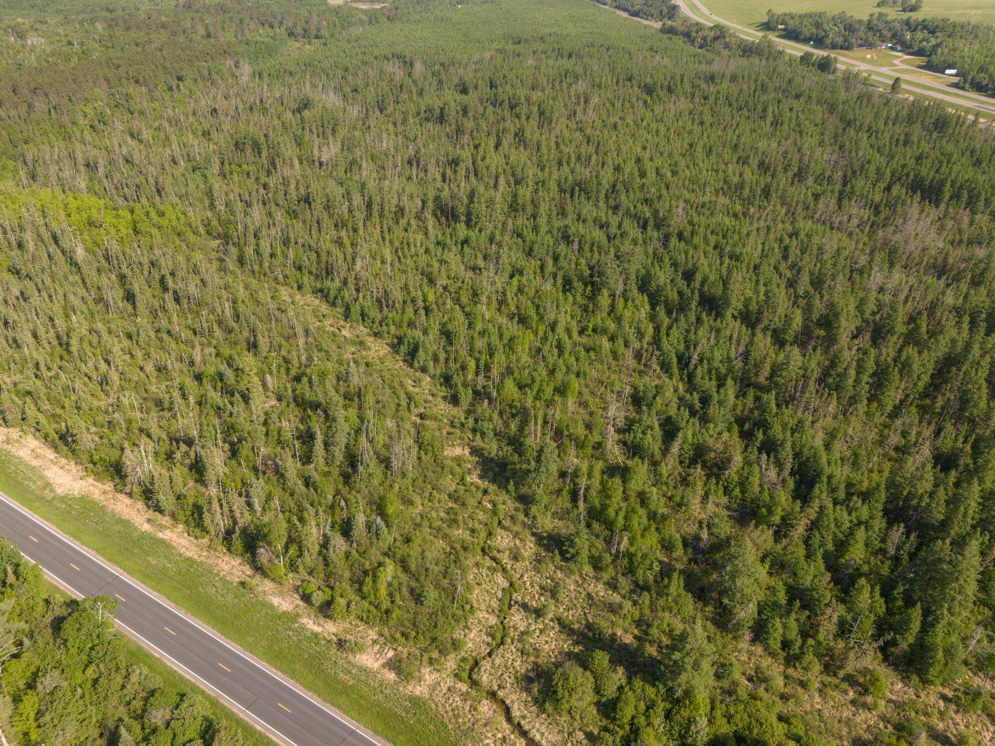 Tbd North Plantagenet Road Southeast Bemidji, MN 56601 - Photo 26 of 35