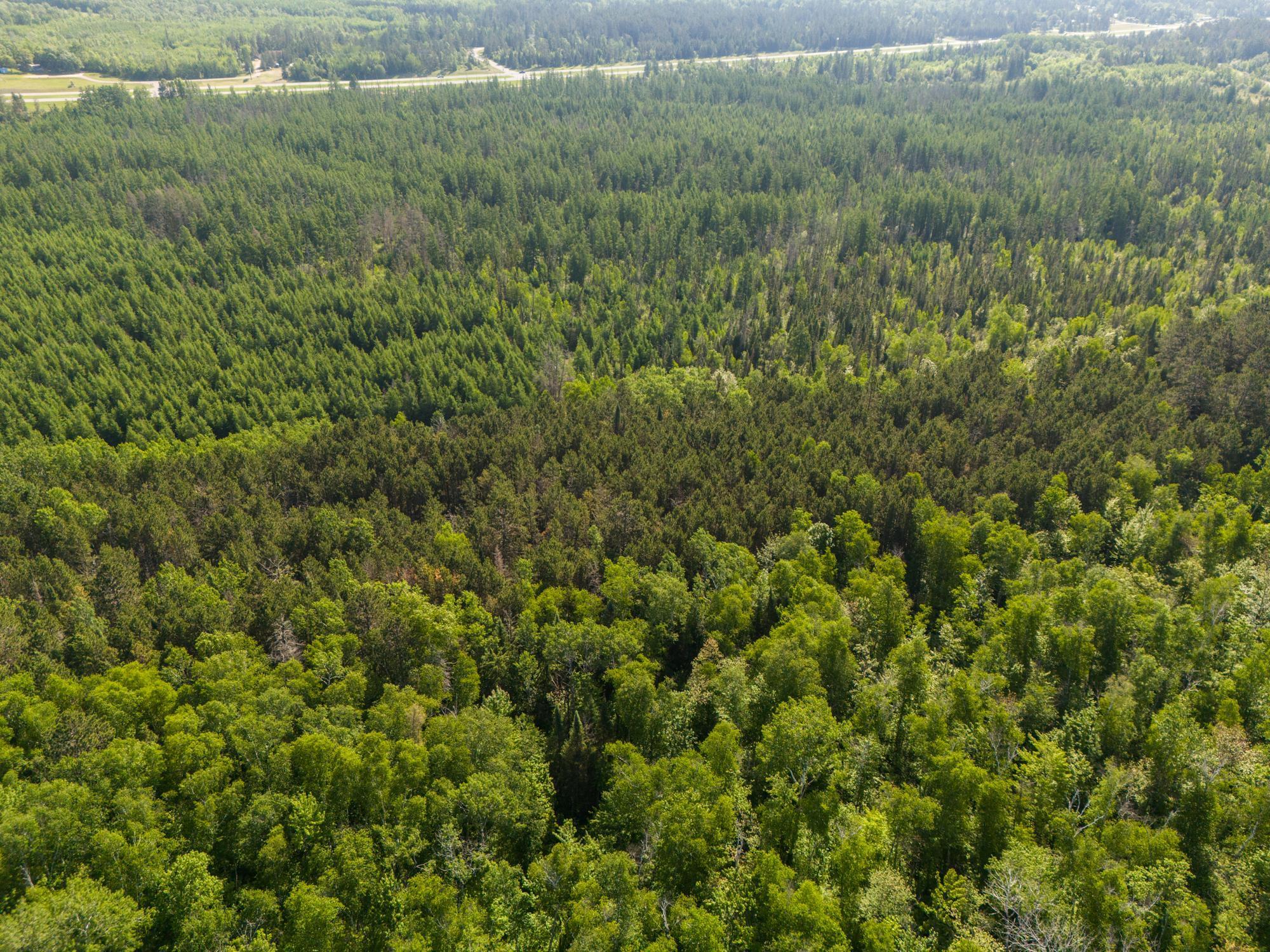 Tbd North Plantagenet Road Southeast Bemidji, MN 56601 - Photo 28 of 35