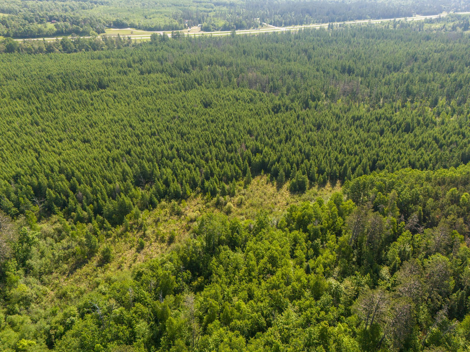 Tbd North Plantagenet Road Southeast Bemidji, MN 56601 - Photo 29 of 35