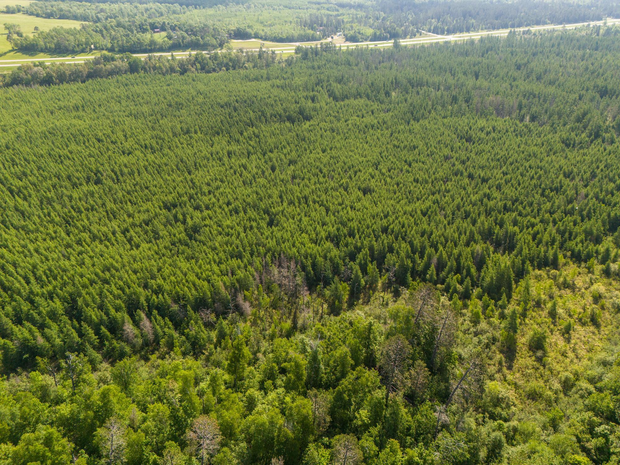 Tbd North Plantagenet Road Southeast Bemidji, MN 56601 - Photo 30 of 35