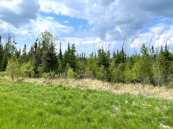$379,000 | Tbd North Plantagenet Road Southeast, Bemidji, MN 56601