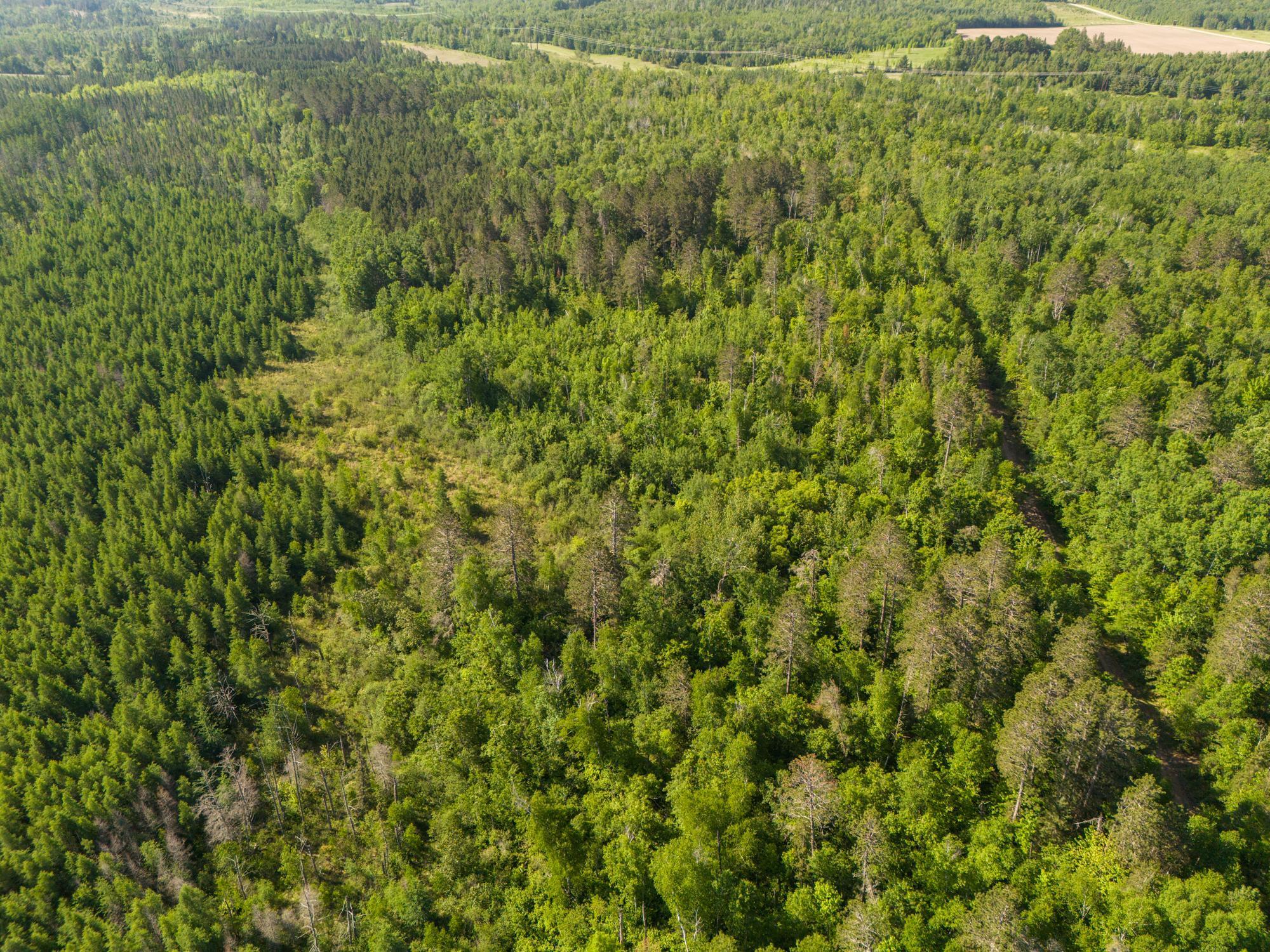 Tbd North Plantagenet Road Southeast Bemidji, MN 56601 - Photo 32 of 35