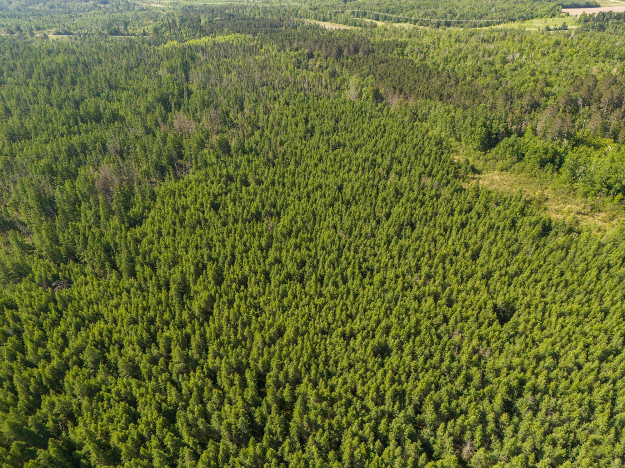 Tbd North Plantagenet Road Southeast Bemidji, MN 56601 - Photo 33 of 35