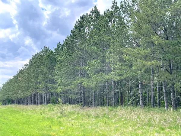 $379,000 | Tbd North Plantagenet Road Southeast, Bemidji, MN 56601