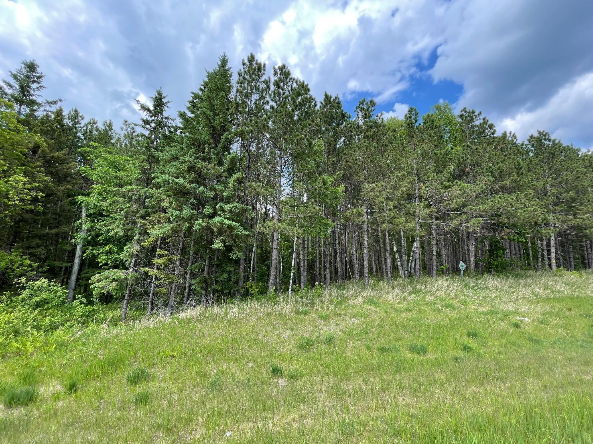 Tbd North Plantagenet Road Southeast Bemidji, MN 56601 - Photo 5 of 35