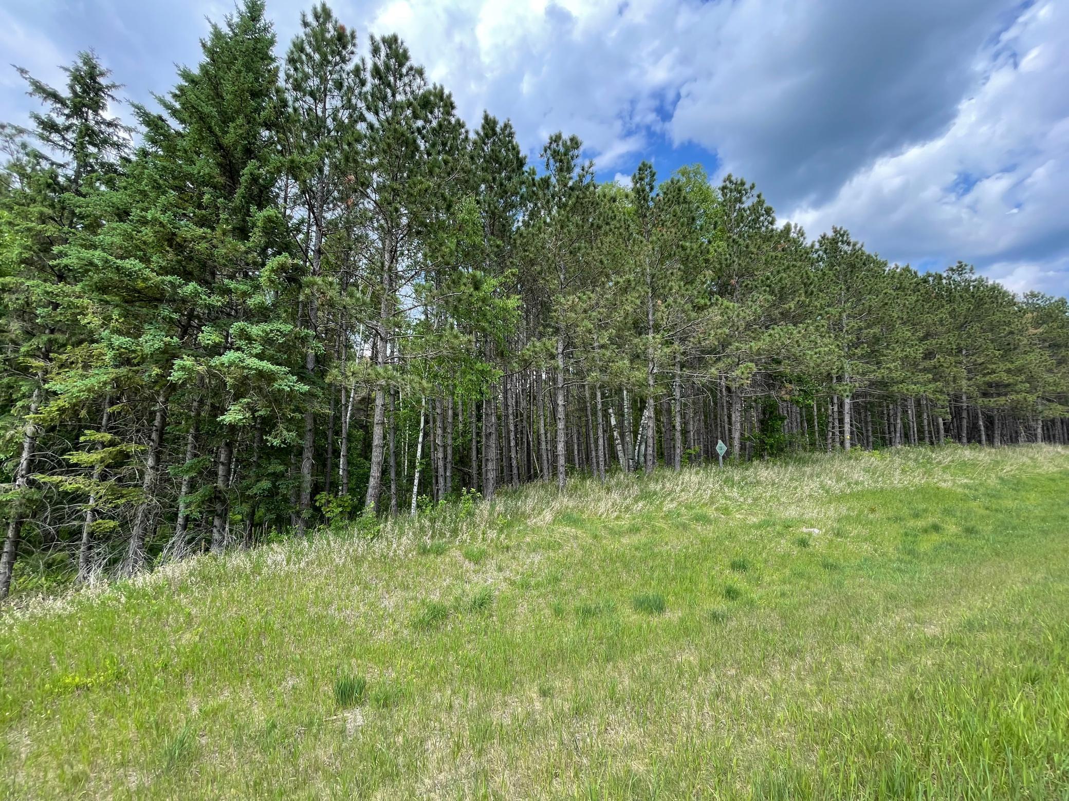 Tbd North Plantagenet Road Southeast Bemidji, MN 56601 - Photo 6 of 35