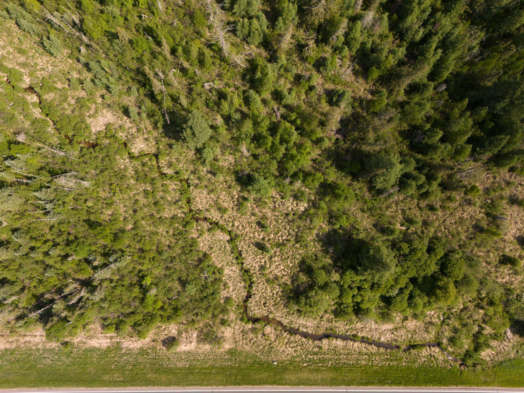 Tbd North Plantagenet Road Southeast Bemidji, MN 56601 - Photo 10 of 35