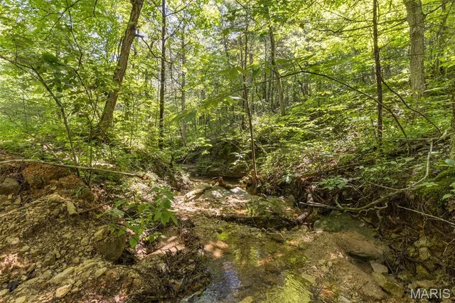 $90,000 | 4 Cedar Hollow Road, Fletcher, MO 63030