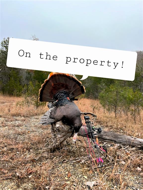 4 Cedar Hollow Road Fletcher, MO 63030 - Photo 13 of 97