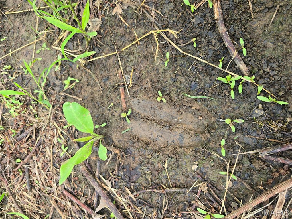 4 Cedar Hollow Road Fletcher, MO 63030 - Photo 14 of 97