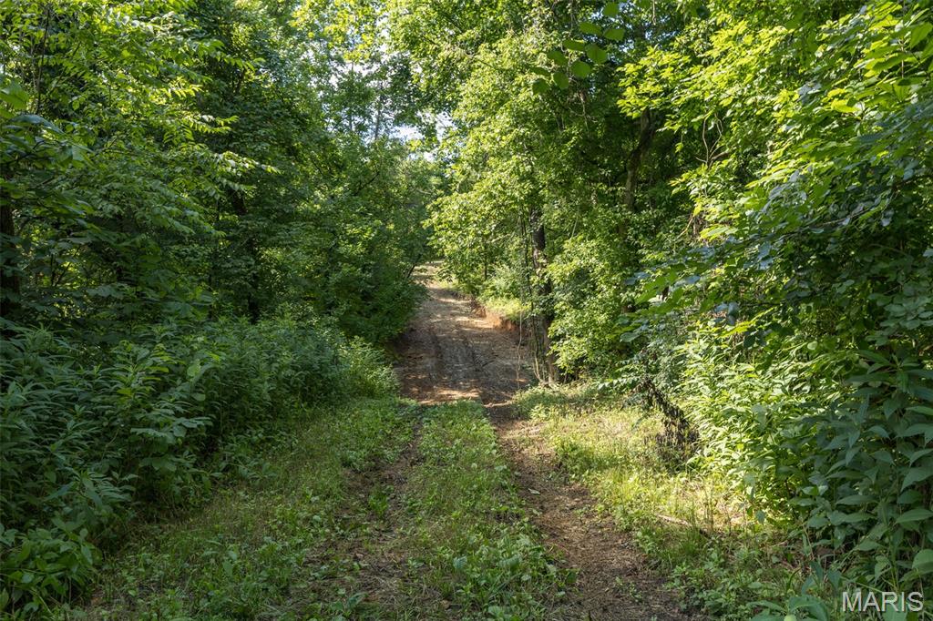 4 Cedar Hollow Road Fletcher, MO 63030 - Photo 46 of 97