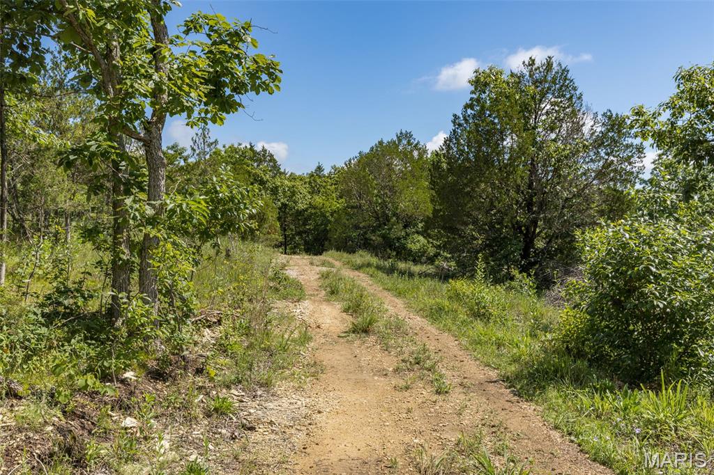 4 Cedar Hollow Road Fletcher, MO 63030 - Photo 58 of 97