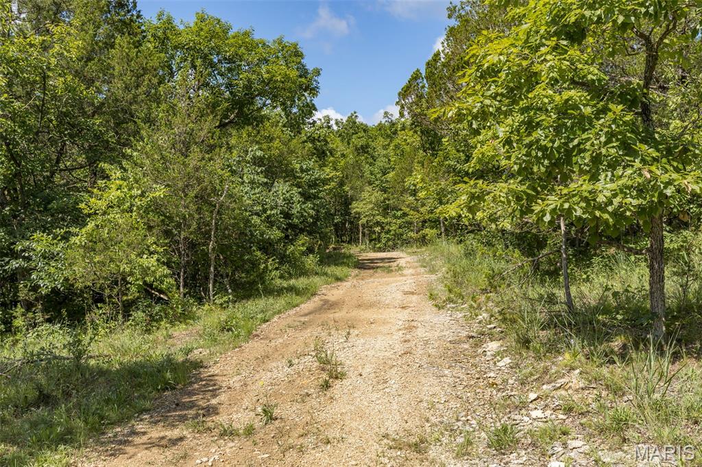 4 Cedar Hollow Road Fletcher, MO 63030 - Photo 59 of 97
