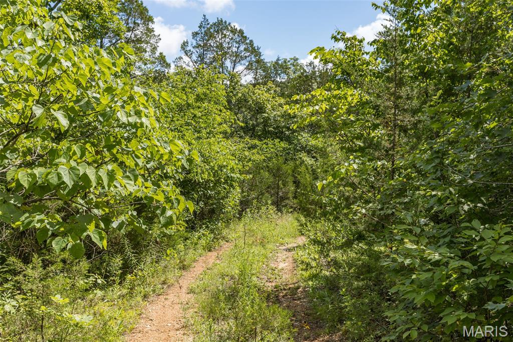 4 Cedar Hollow Road Fletcher, MO 63030 - Photo 64 of 97