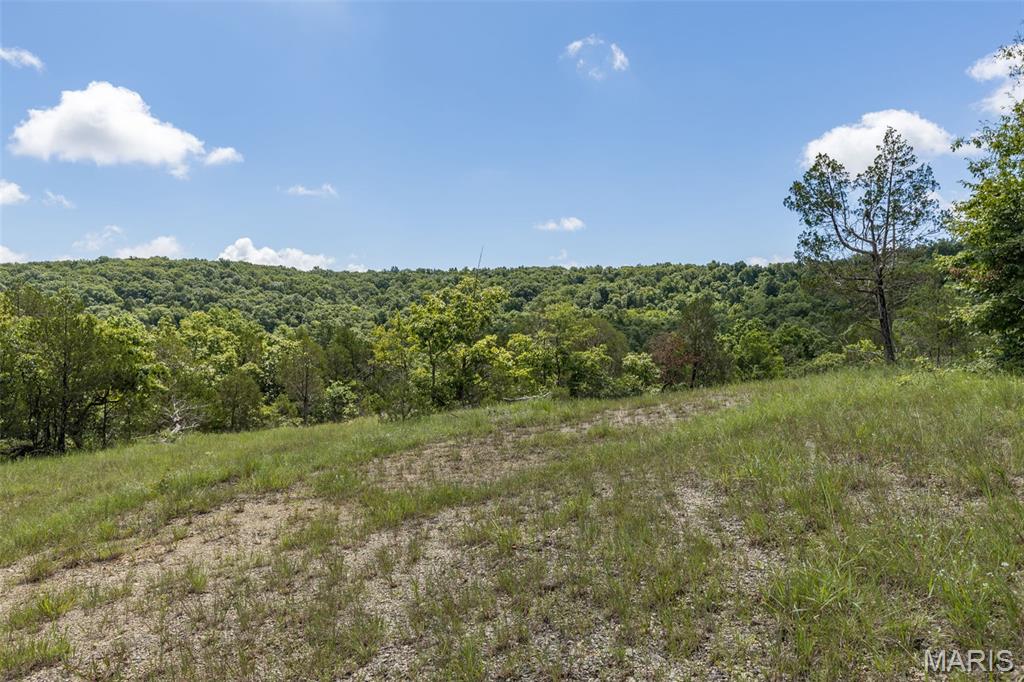 4 Cedar Hollow Road Fletcher, MO 63030 - Photo 65 of 97