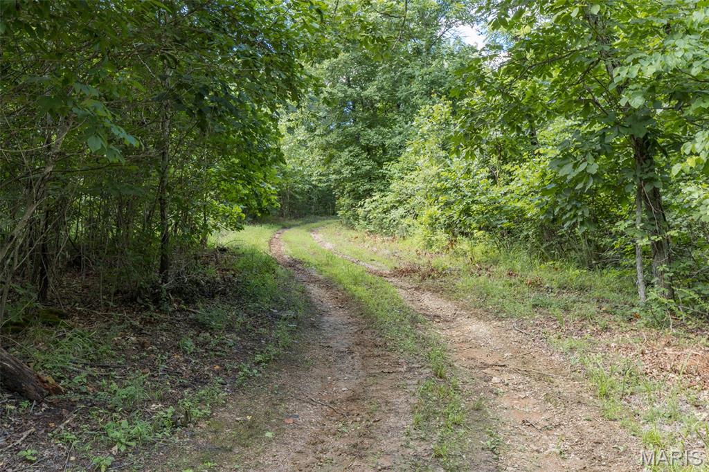 4 Cedar Hollow Road Fletcher, MO 63030 - Photo 68 of 97