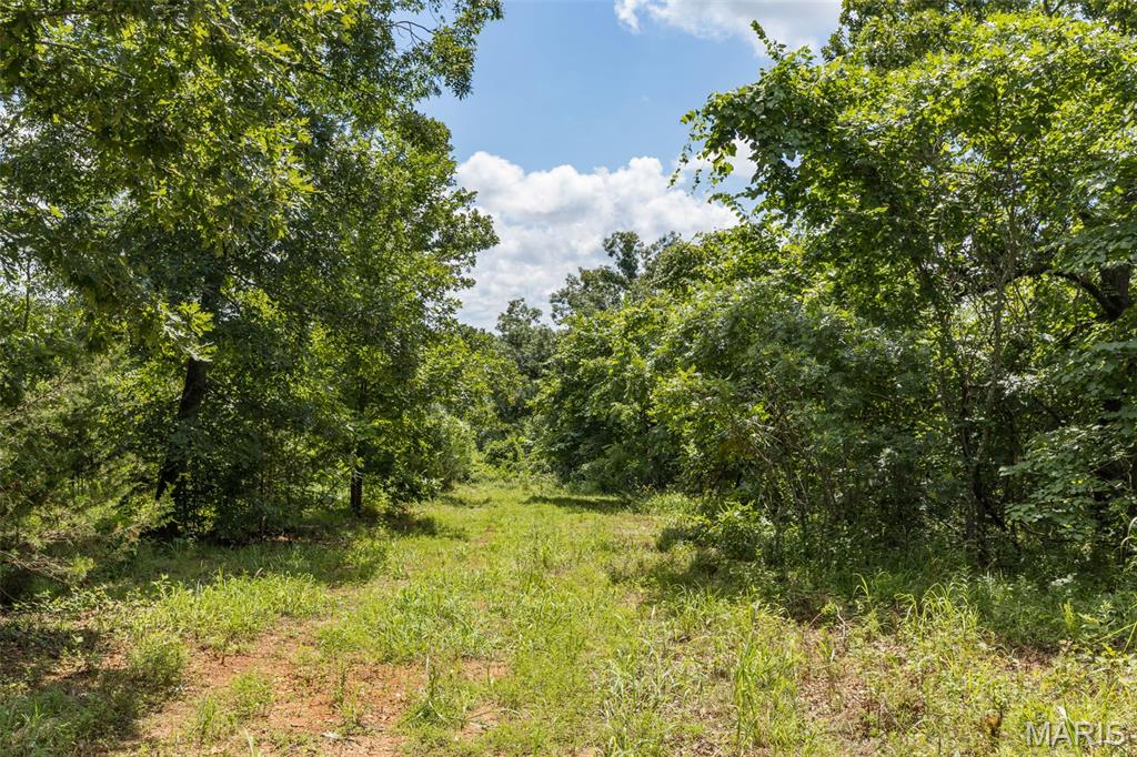 4 Cedar Hollow Road Fletcher, MO 63030 - Photo 70 of 97