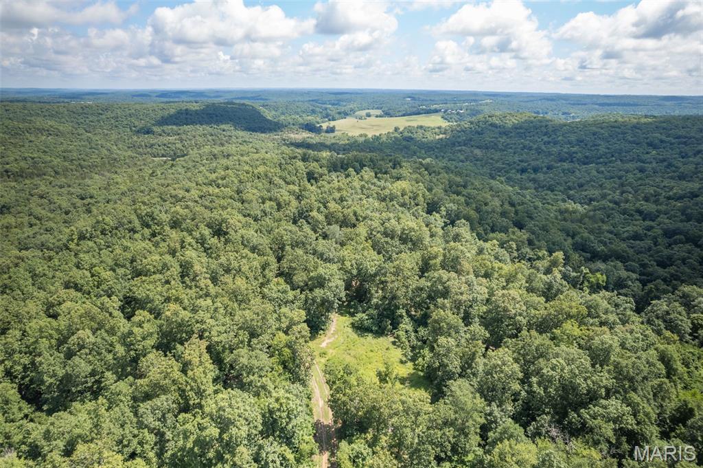 4 Cedar Hollow Road Fletcher, MO 63030 - Photo 76 of 97