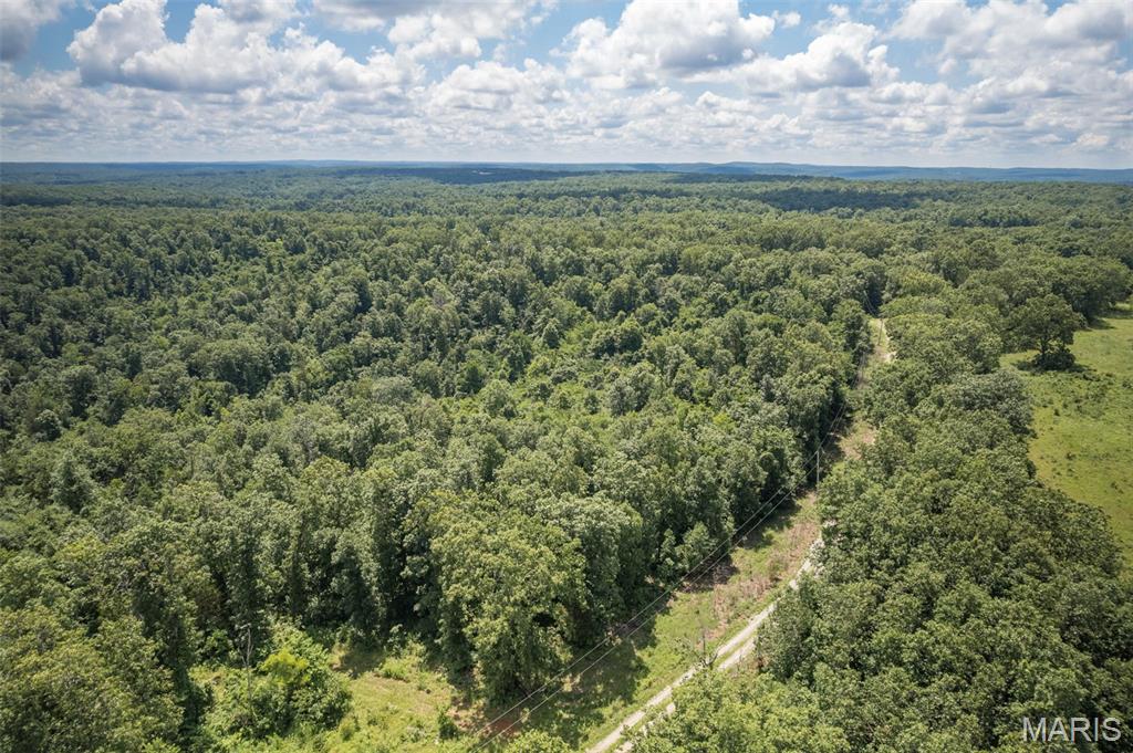 4 Cedar Hollow Road Fletcher, MO 63030 - Photo 84 of 97