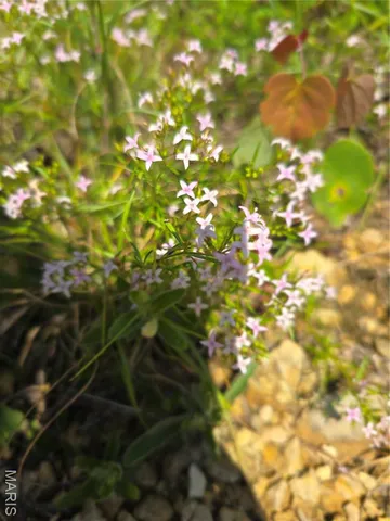 $90,000 | 4 Cedar Hollow Road, Fletcher, MO 63030