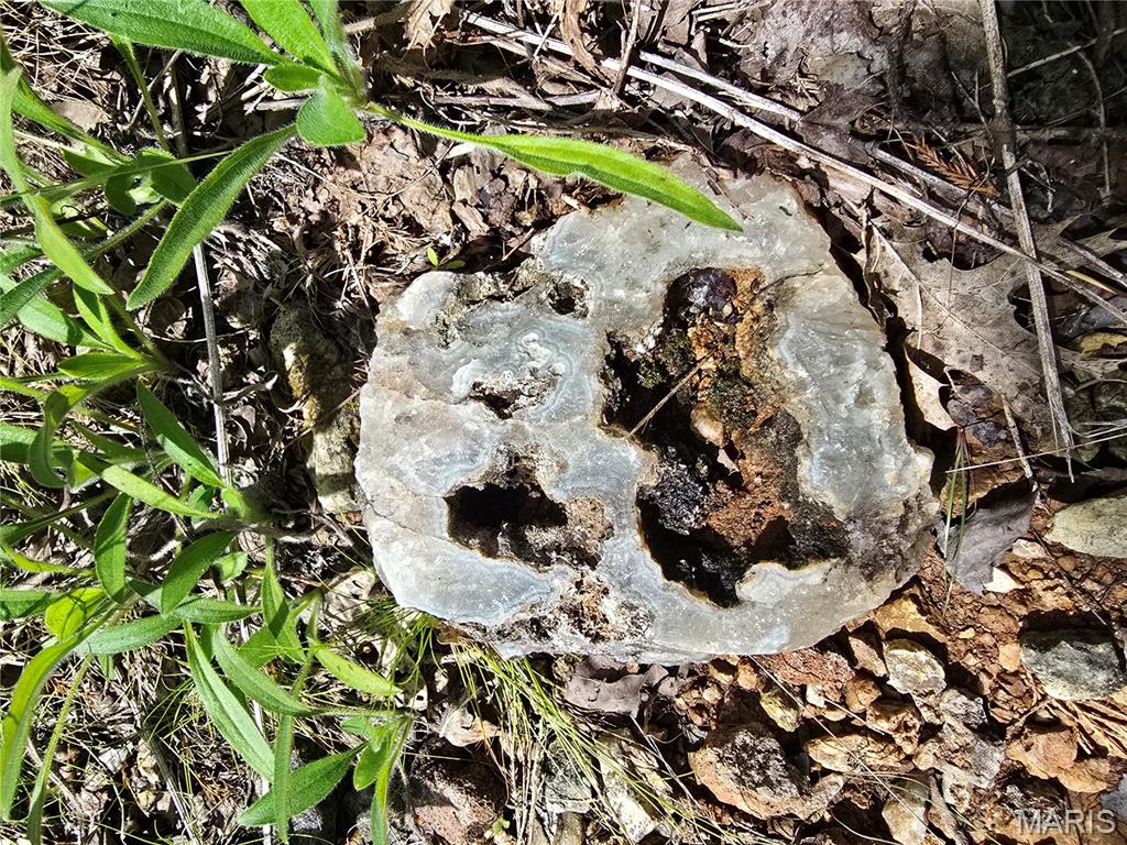 4 Cedar Hollow Road Fletcher, MO 63030 - Photo 92 of 97