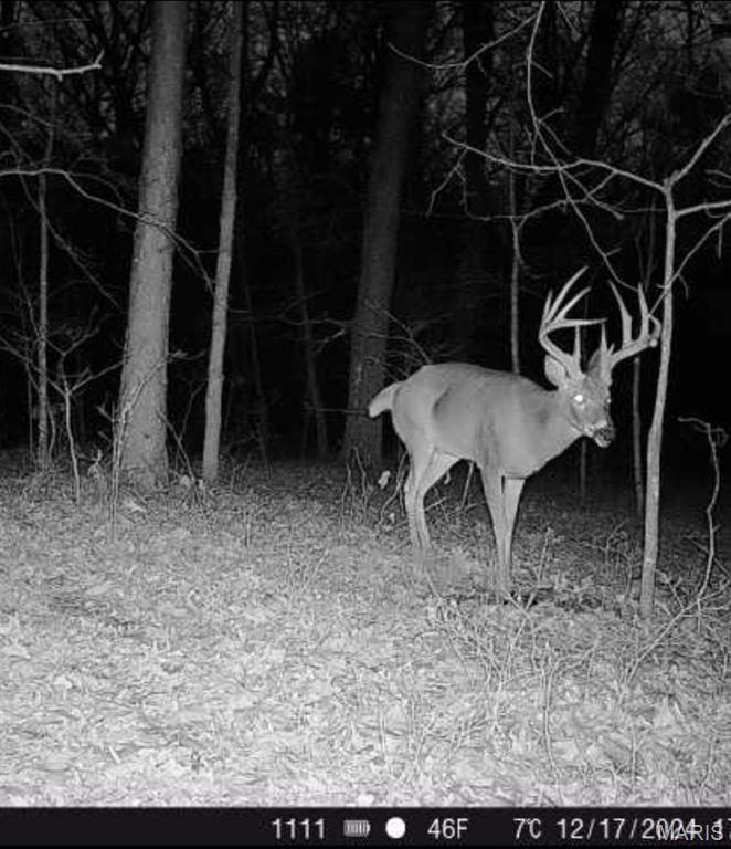 4 Cedar Hollow Road Fletcher, MO 63030 - Photo 96 of 97