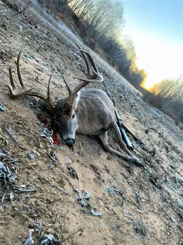 $90,000 | 4 Cedar Hollow Road, Fletcher, MO 63030