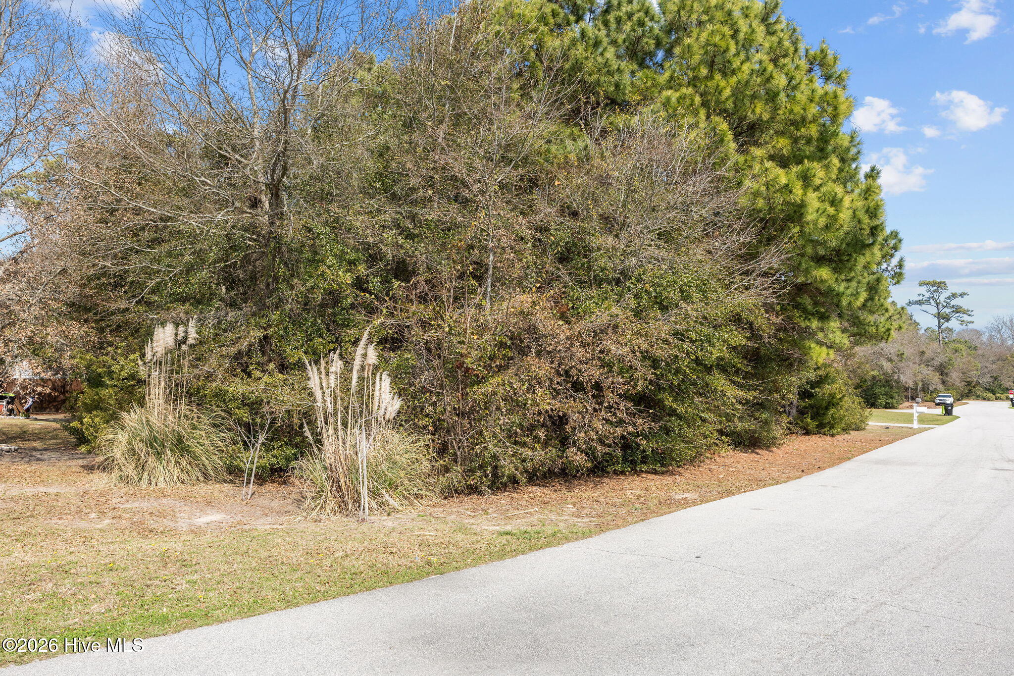 104 Casey Court Cedar Point, NC 28584 - Photo 15 of 16 15-web-or-mls-IMG_4065