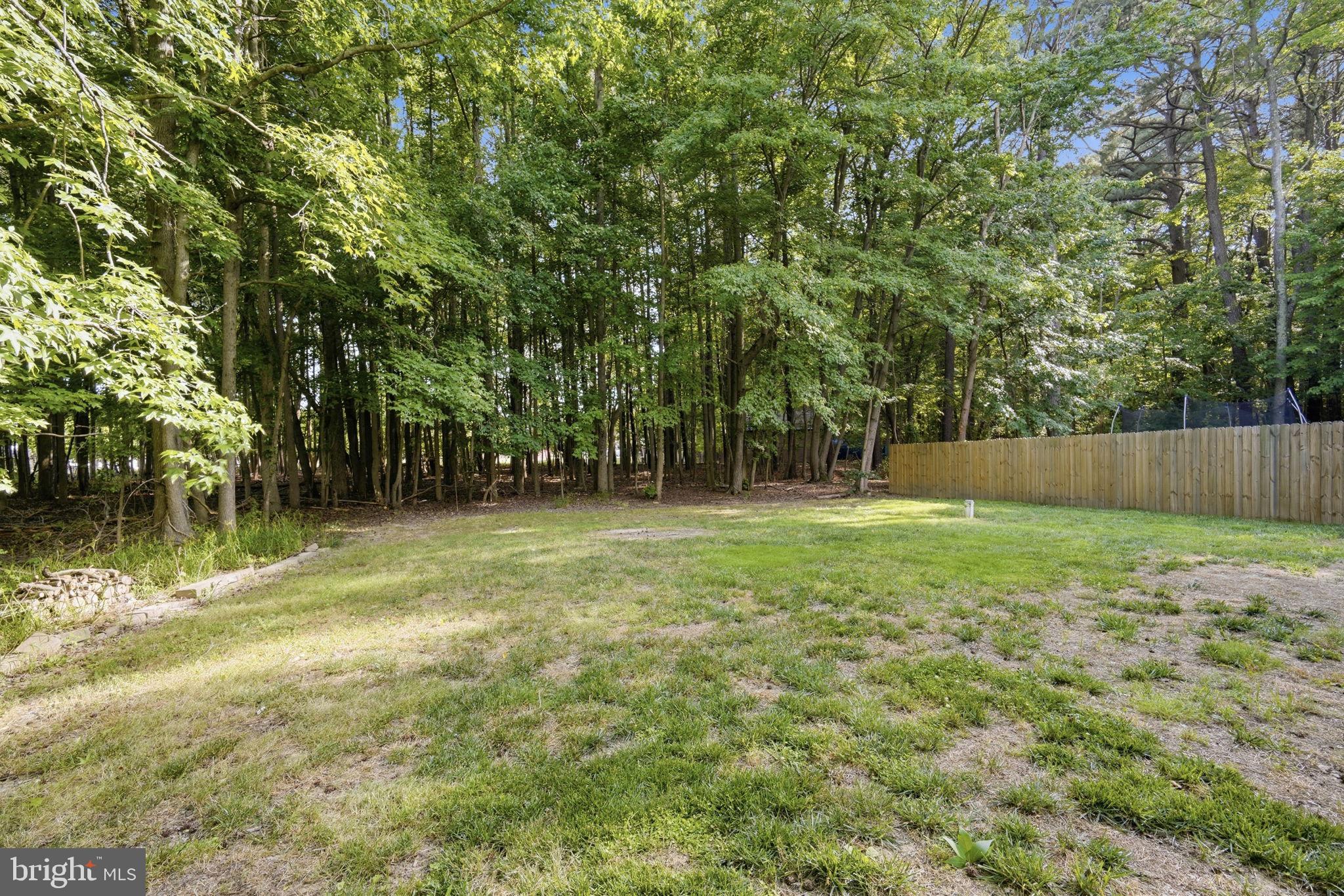 124 Riverside Drive Chester, MD 21619 - Photo 41 of 44 Serene backyard embraced by nature.