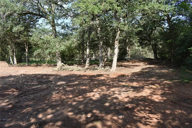 a view of a yard with a tree