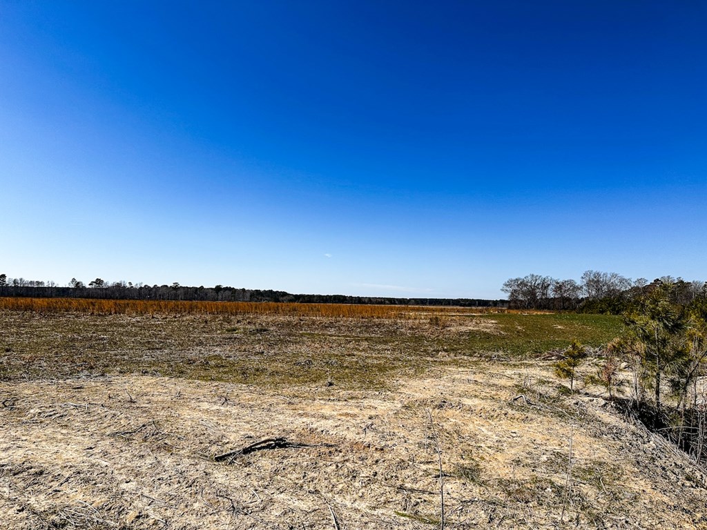 76.19-ac Saxis Road Temperanceville, VA 23442 - Photo 26 of 37