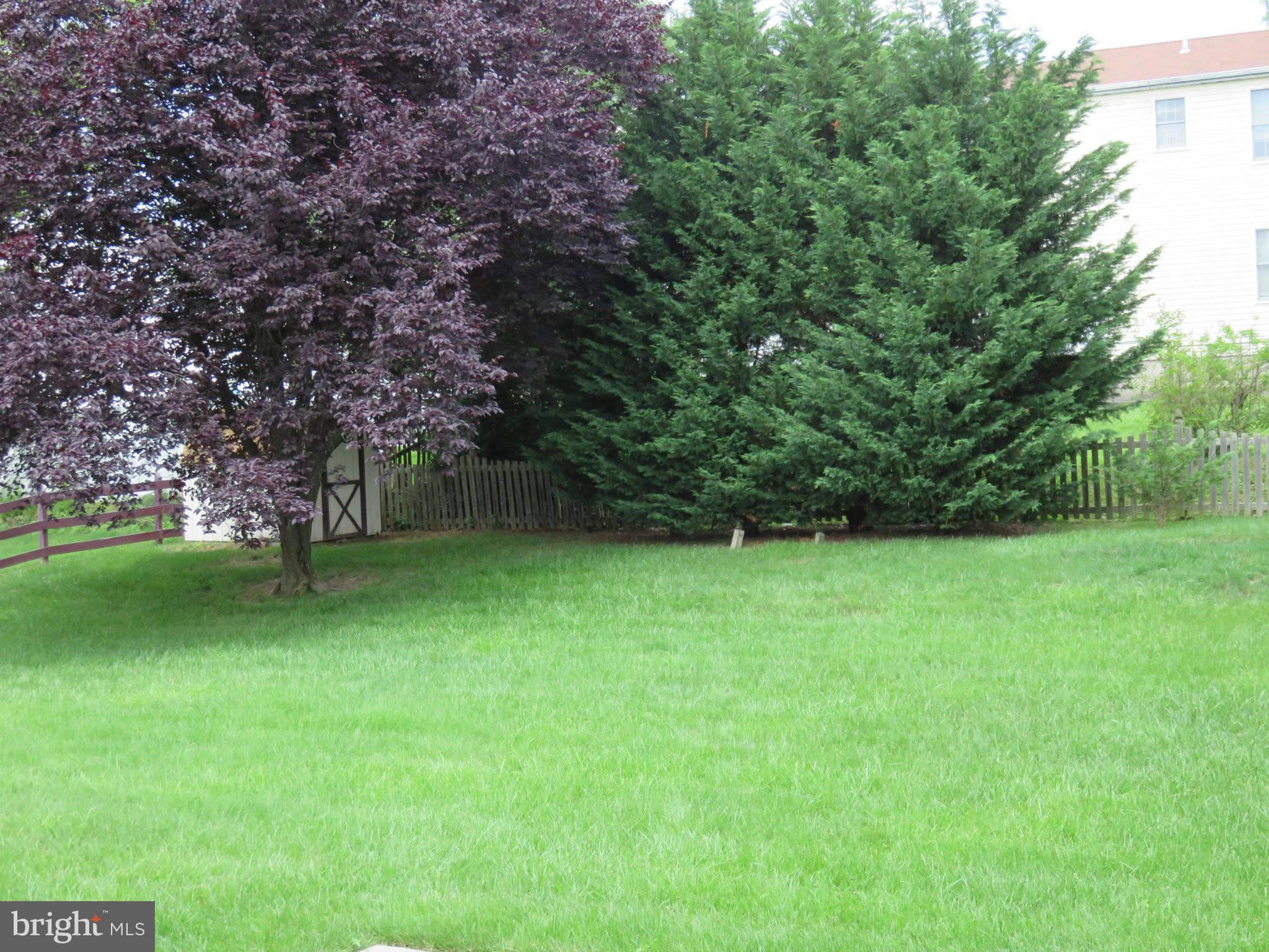 9514 Dawnvale Road Baltimore, MD 21236 - Photo 3 of 26 Rear Yard