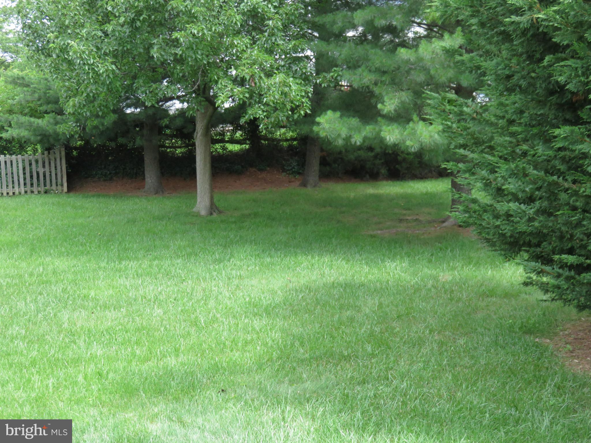 9514 Dawnvale Road Baltimore, MD 21236 - Photo 24 of 26 View from Patio